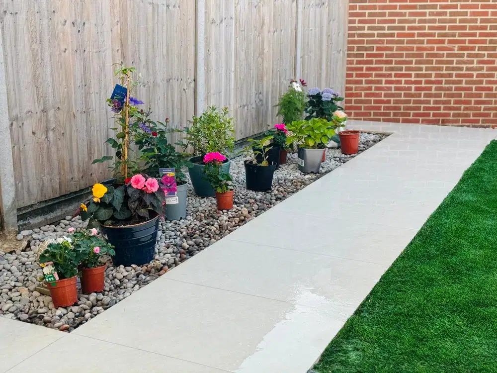 Garden project 41