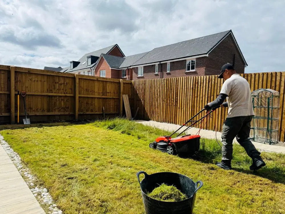 Garden project 3