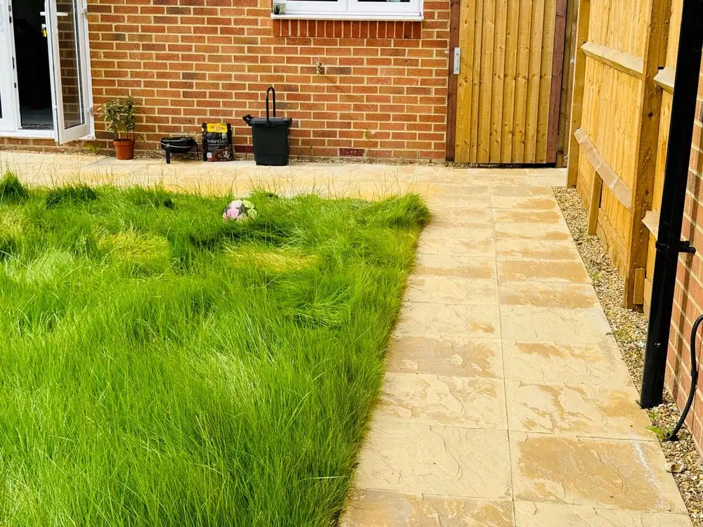 Garden project 2