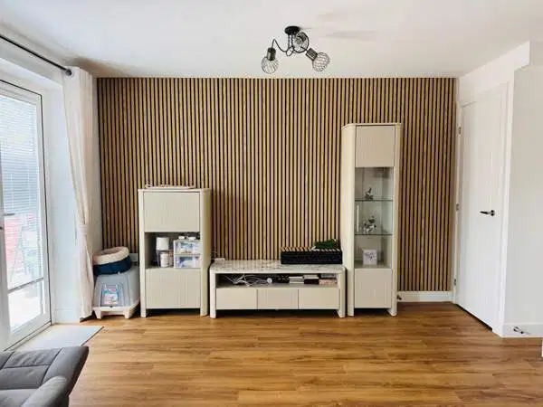 Furniture and woodwork project